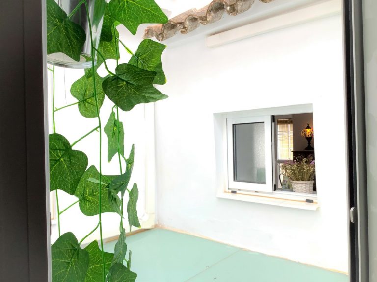 Patio 2 edited1 768x576