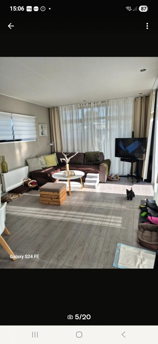 Screenshot 20260219 150653 Kleinanzeigen