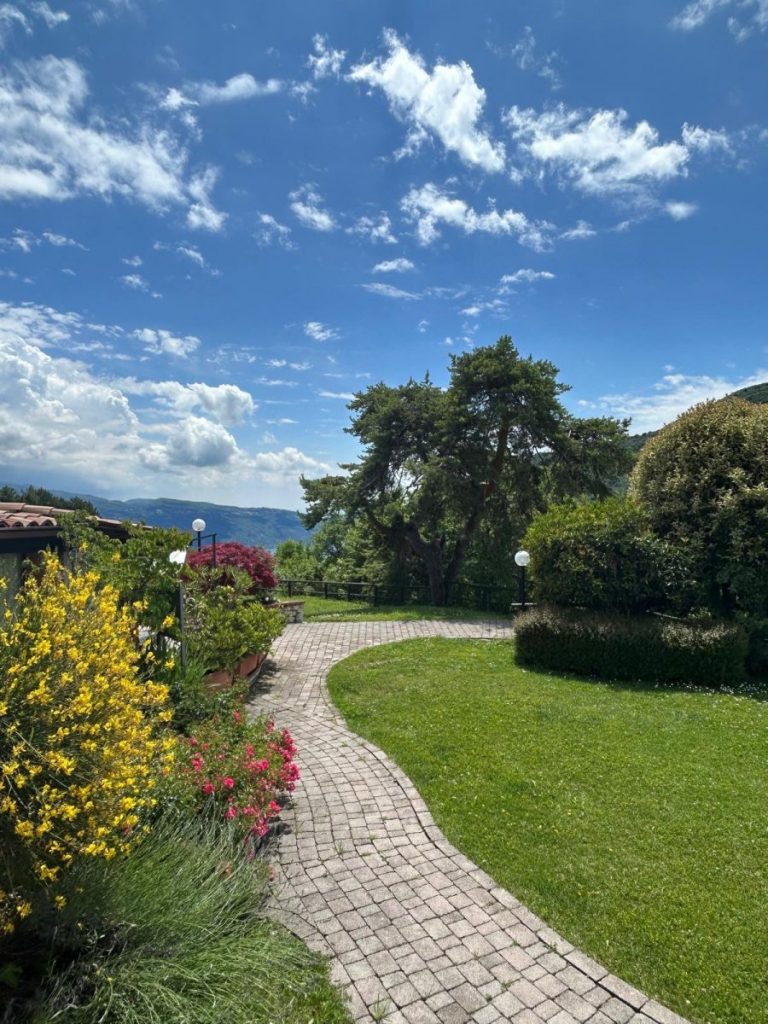 Garten 768x1024