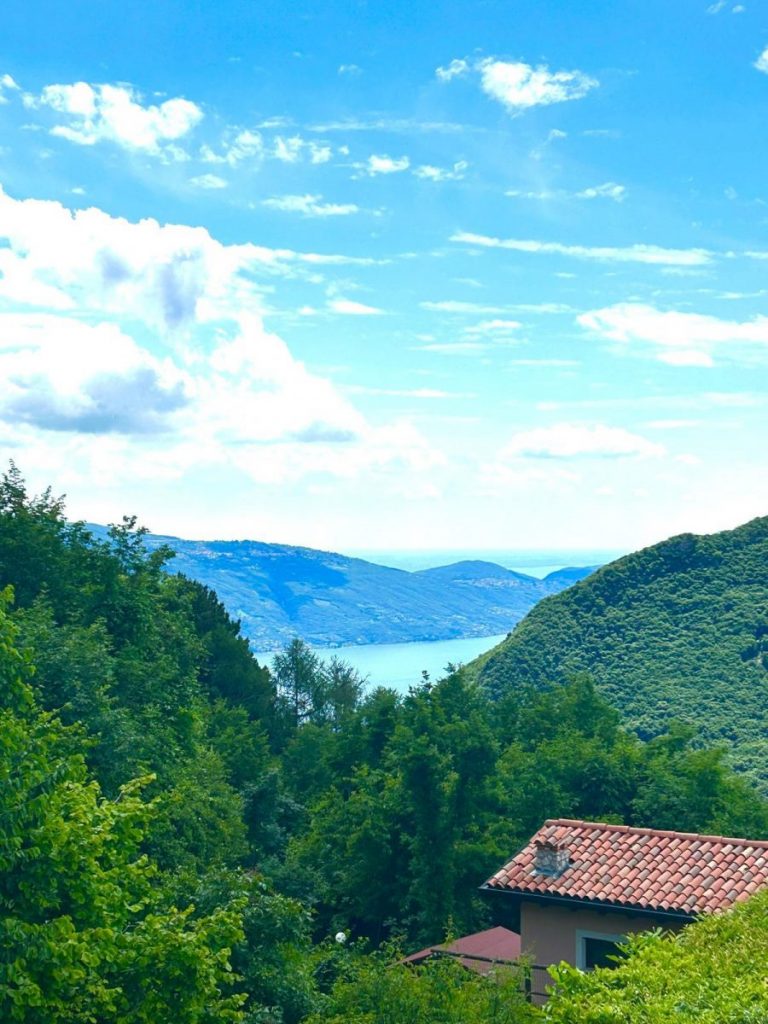 Seeblick1 768x1024